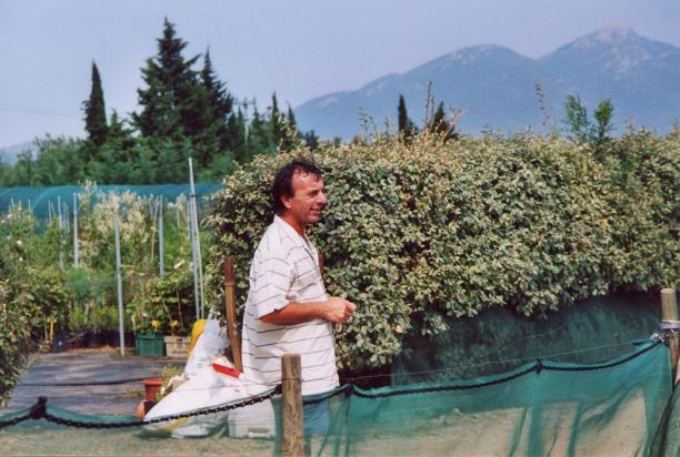 P&eacute;pini&egrave;re Mas Gource &agrave; Ceret