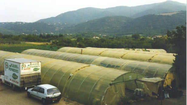 Mas Gource &agrave; Ceret