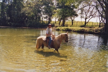 Mexique Cheval Favre