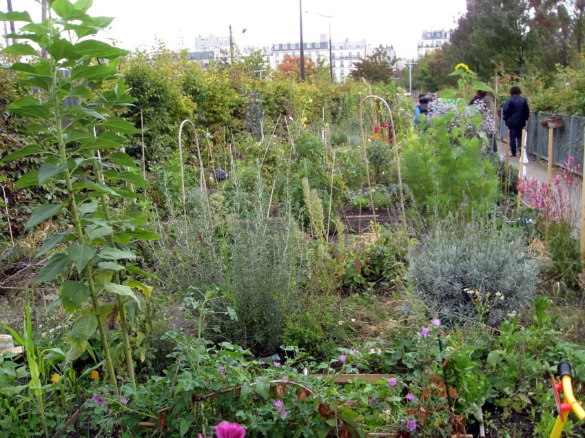 2010-09-Jardin-Perlimpinpin