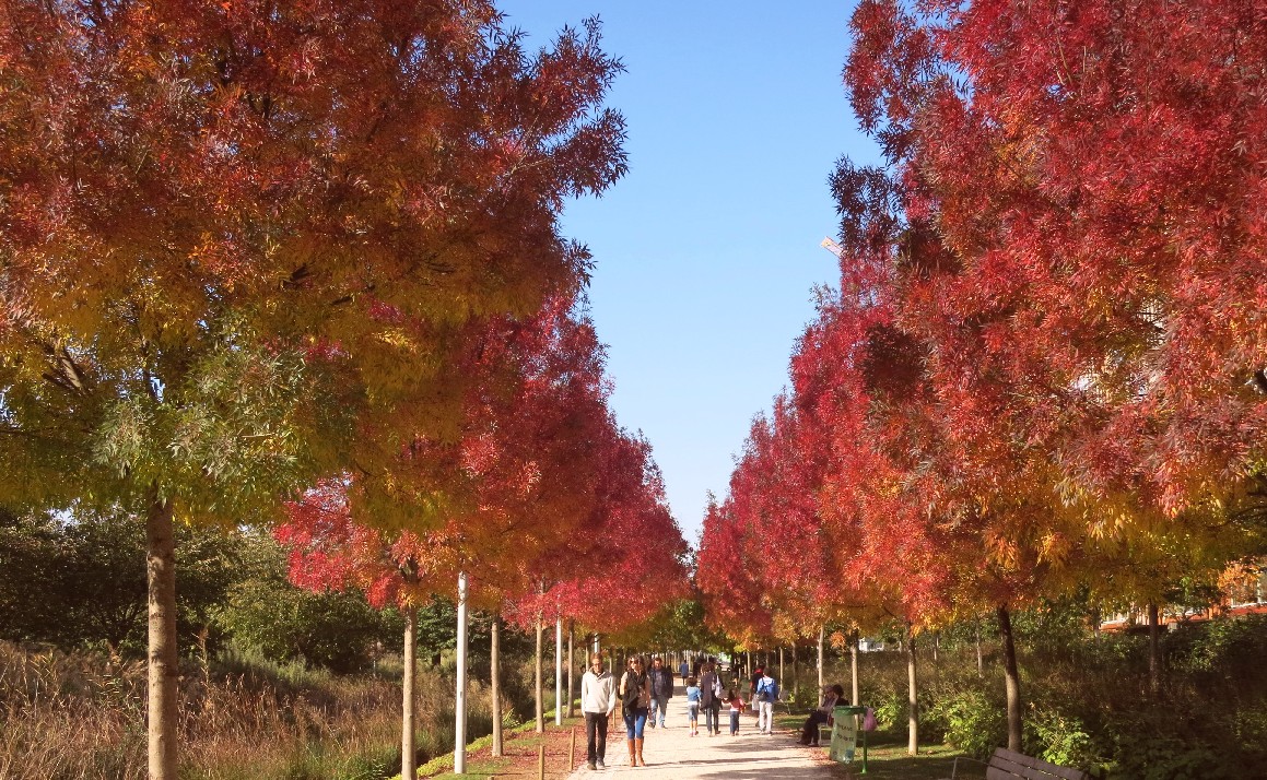 Automne