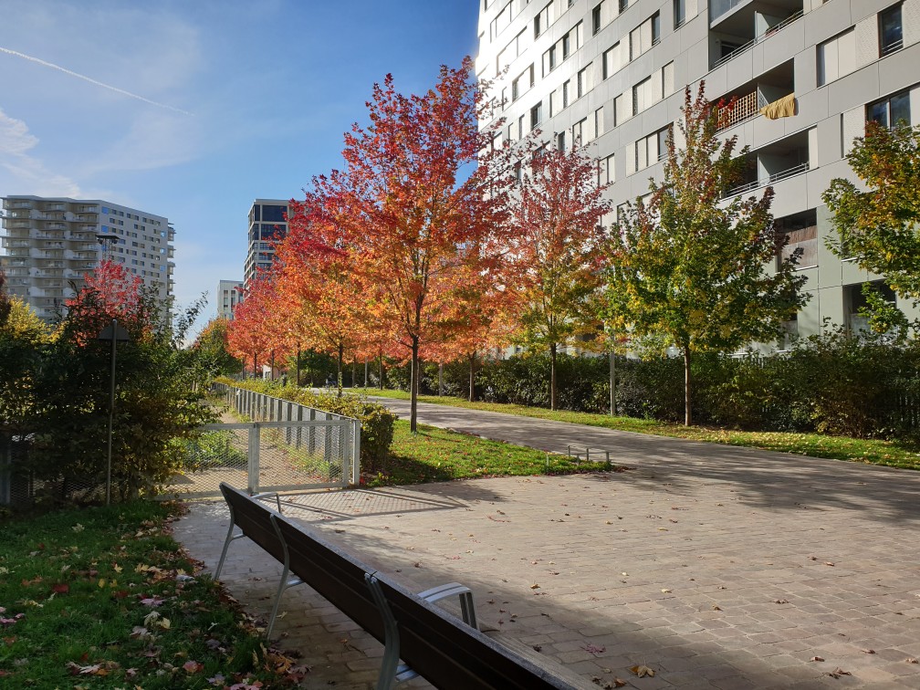 Le parc Martin Luther-King.