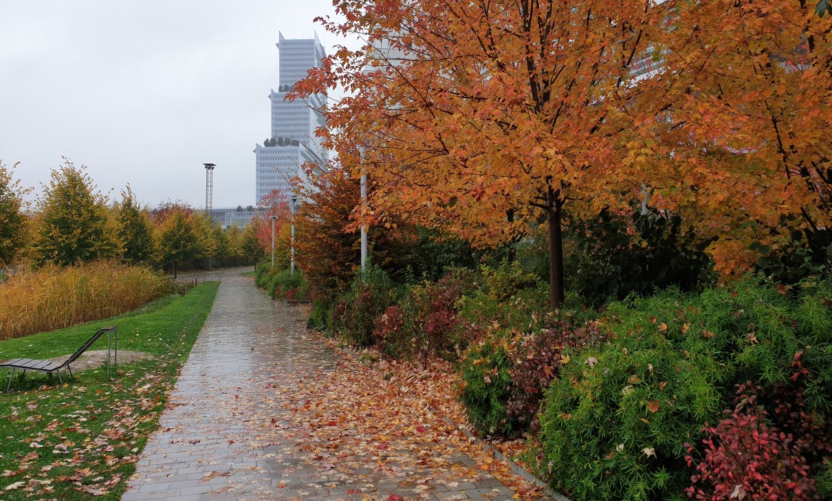 Le parc Martin Luther-King.