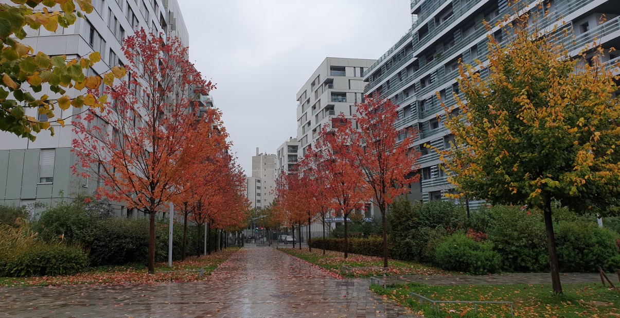 Le quartier Martin Luther-King.
