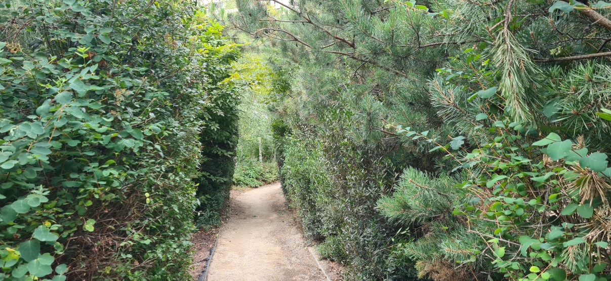 Le parc Martin Luther-King.