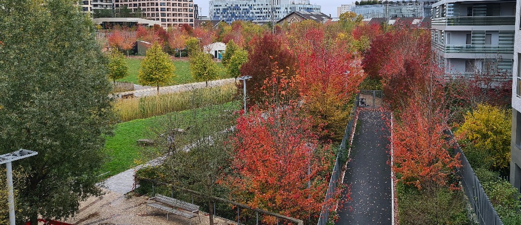 L'automne au Parc Martin Luther-King