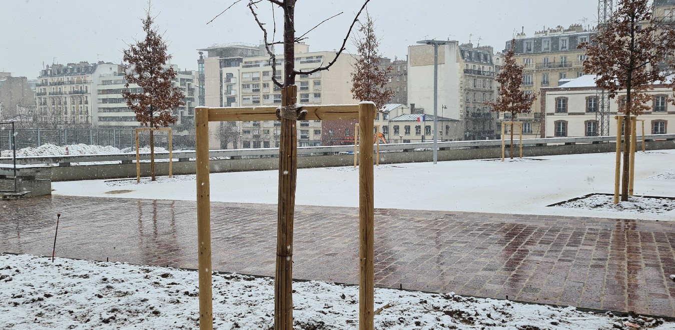 Le parc Martin Luther-King sous la neige.