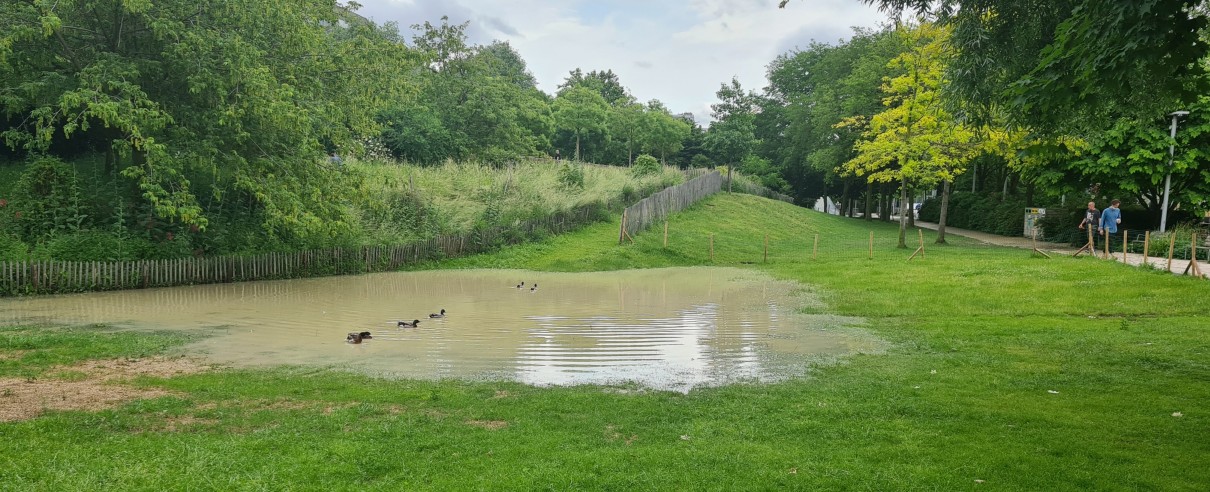 Le parc Martin Luther-King.