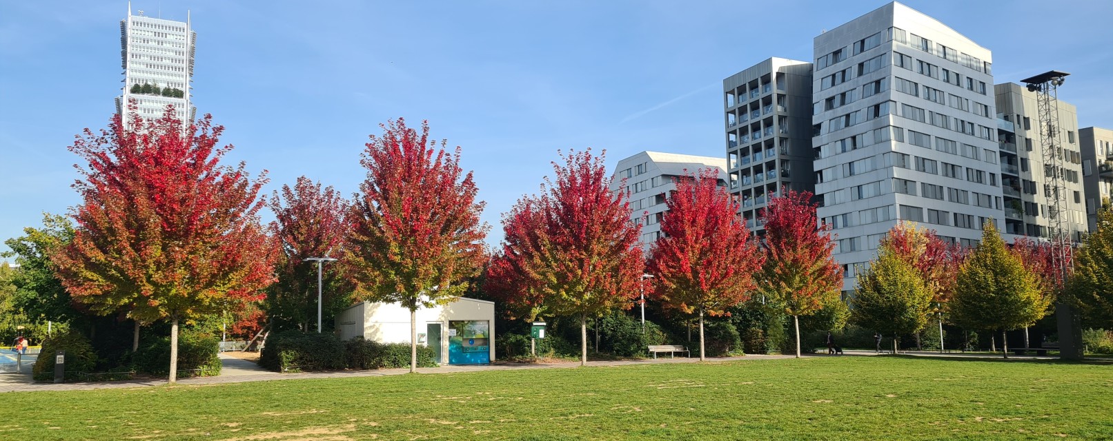 L'automne au Parc Martin Luther-King
