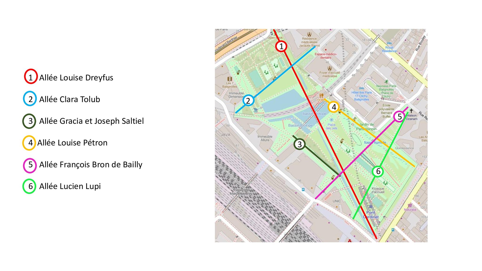 Les allées du parc MLK.