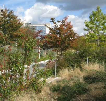 automnedans Les Batignolles