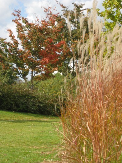 Automne