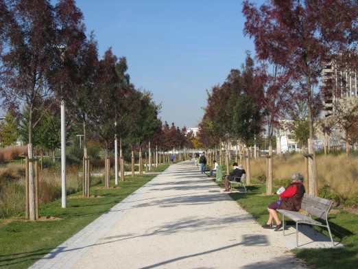 L'automne au Parc de la ZAC Clichy-Batignolles