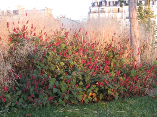 L'automne au Parc des Batignolles