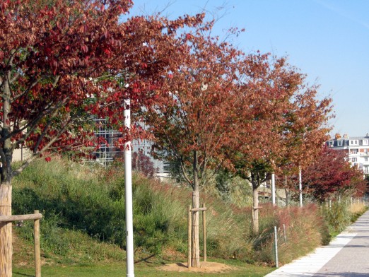 L'automne au Parc Martin Luther-King