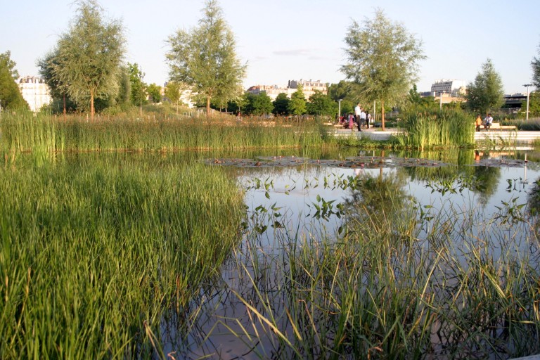 Le marais l'&eacute;t&eacute;
