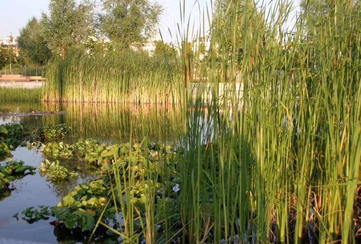 Le marais