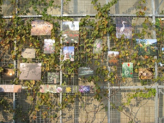 F&ecirc;te des jardins 2011