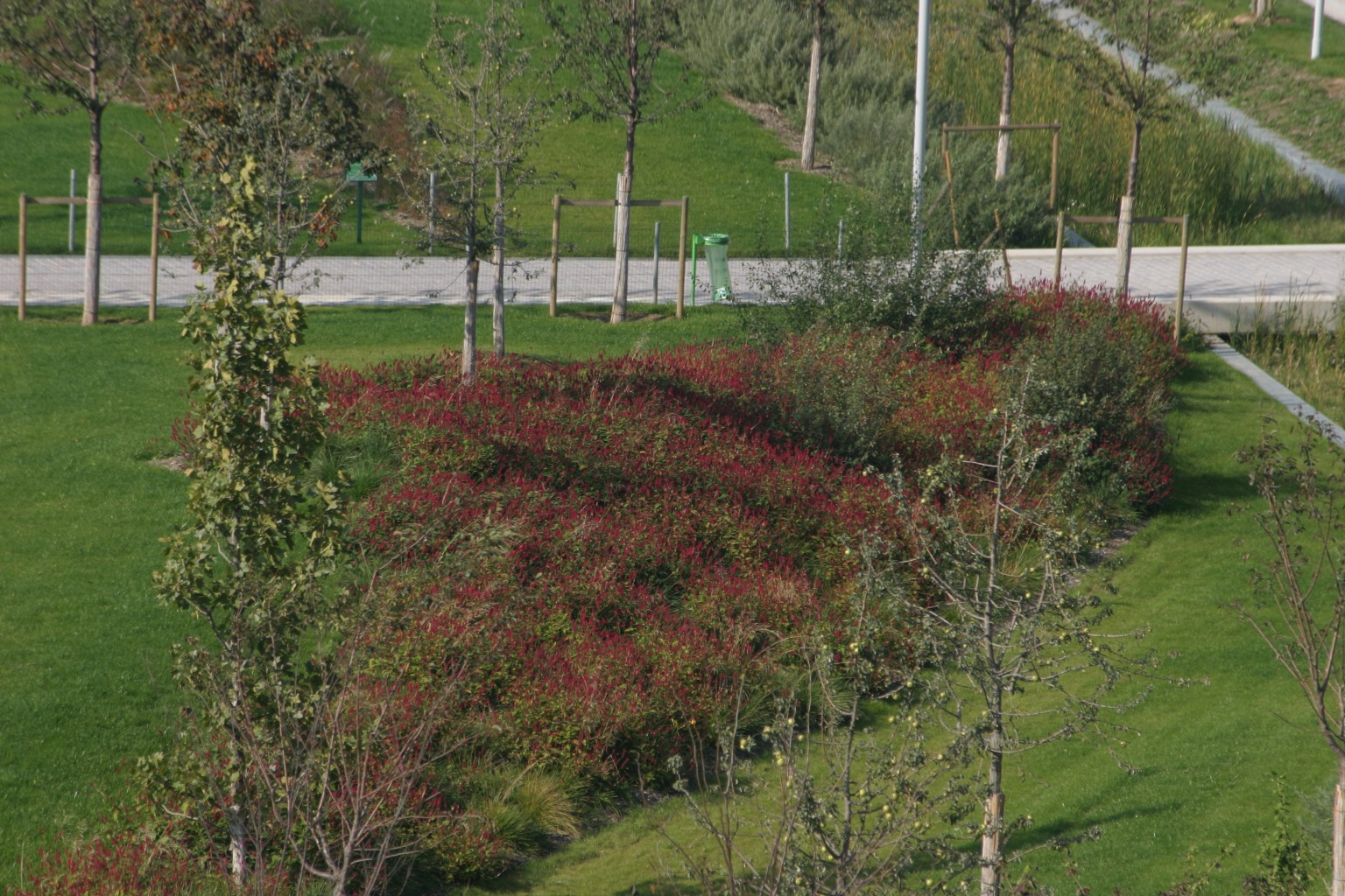 Parc Clichy-Batignolles