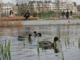 Parc Clichy Batignolles