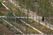 Parc Clichy Batignolles