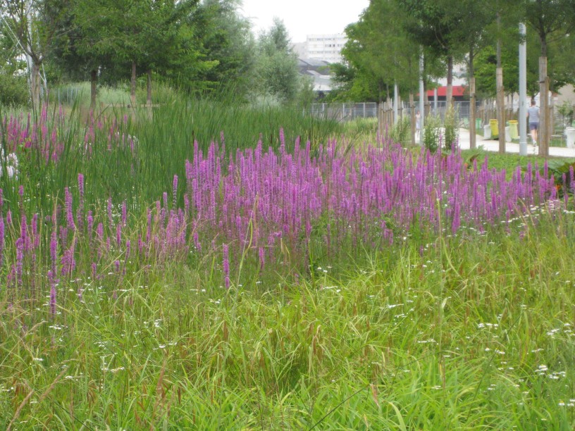 Parc Clichy-Batignolles