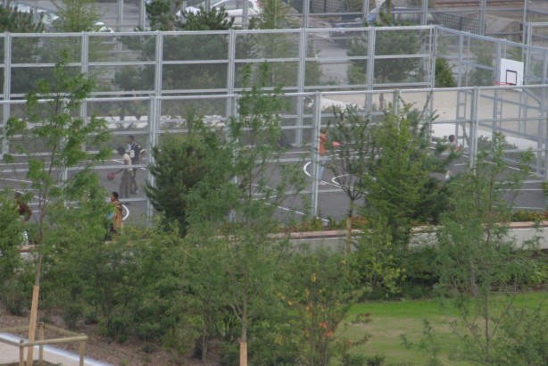 terrain de basket et de foot
