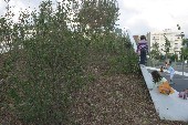 Parc Clichy Batignolles