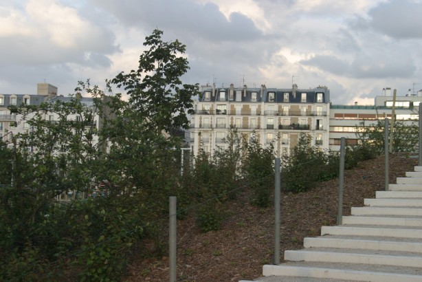 d&eacute;veloppement durable