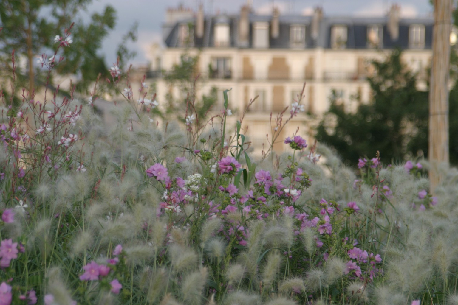 Parc Clichy-Batignolles