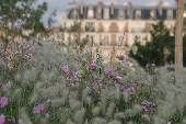 Parc Clichy Batignolles