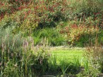 Bancs de bois au Parc