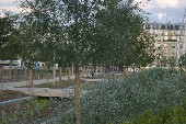 Parc Clichy Batignolles