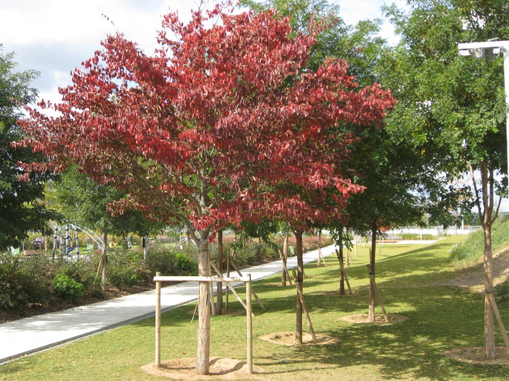 fête des jardins aux Batignolles