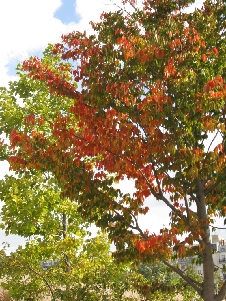 fête des jardins aux Batignolles 2008