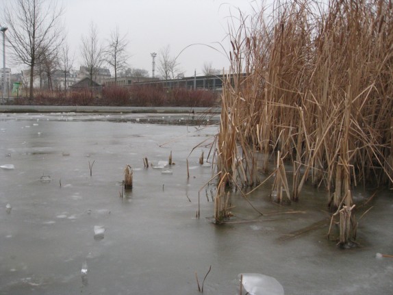 Glace aux Batignolles