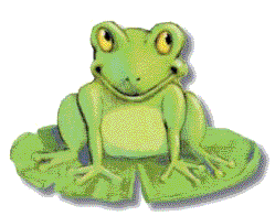 Grenouille verte dans le marais ?