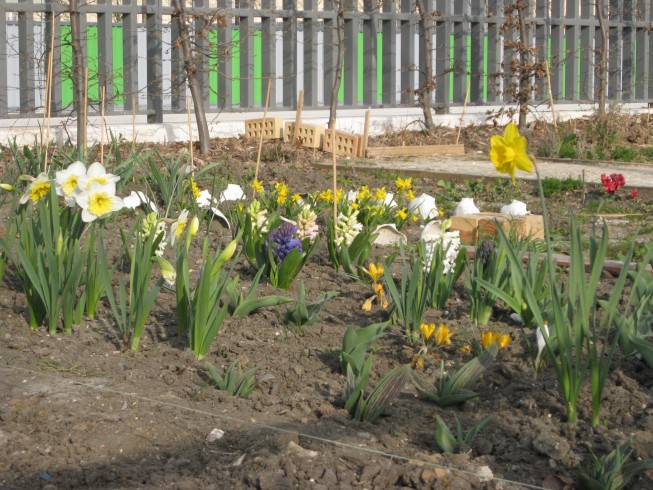 Jardinage dans les Batignolles