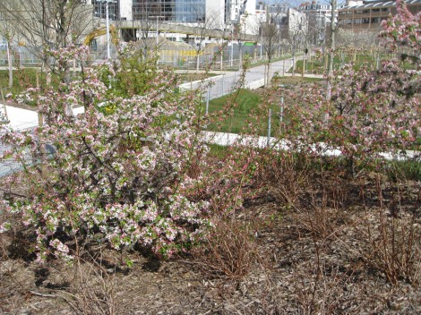 Paris : Le Printemps