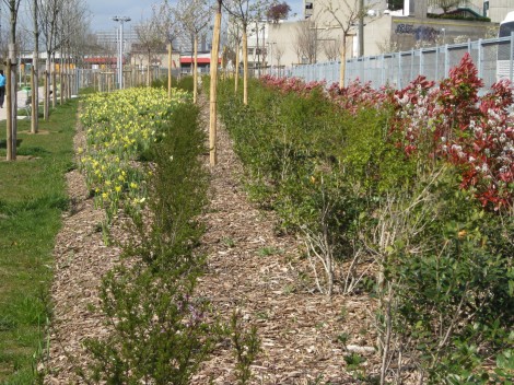 Le Printemps